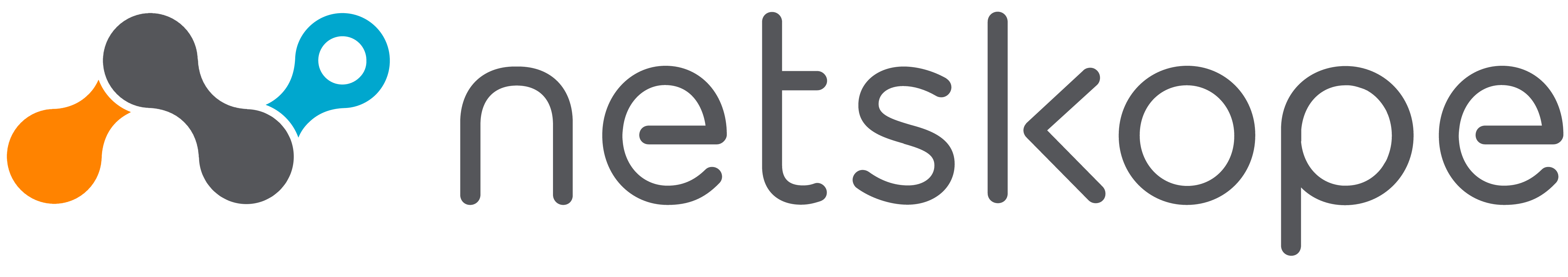 Netskope logo PNG